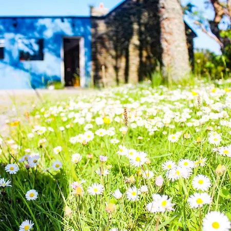 Retro Caravans At Valentia Island Escape Chapeltown