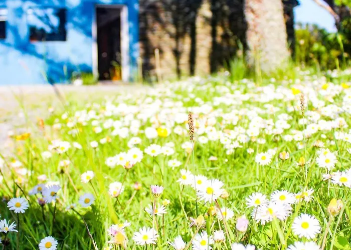 Retro Caravans On Valentia Island Chapeltown